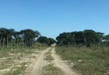 Propriedade a acolher a futura cidadela MEA em Katembe.